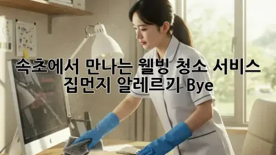 속초에서 만나는 웰빙 청소 서비스 ✨ 집먼지 알레르기 Bye!